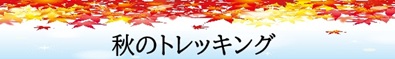 秋のトレッキング見出しの画像