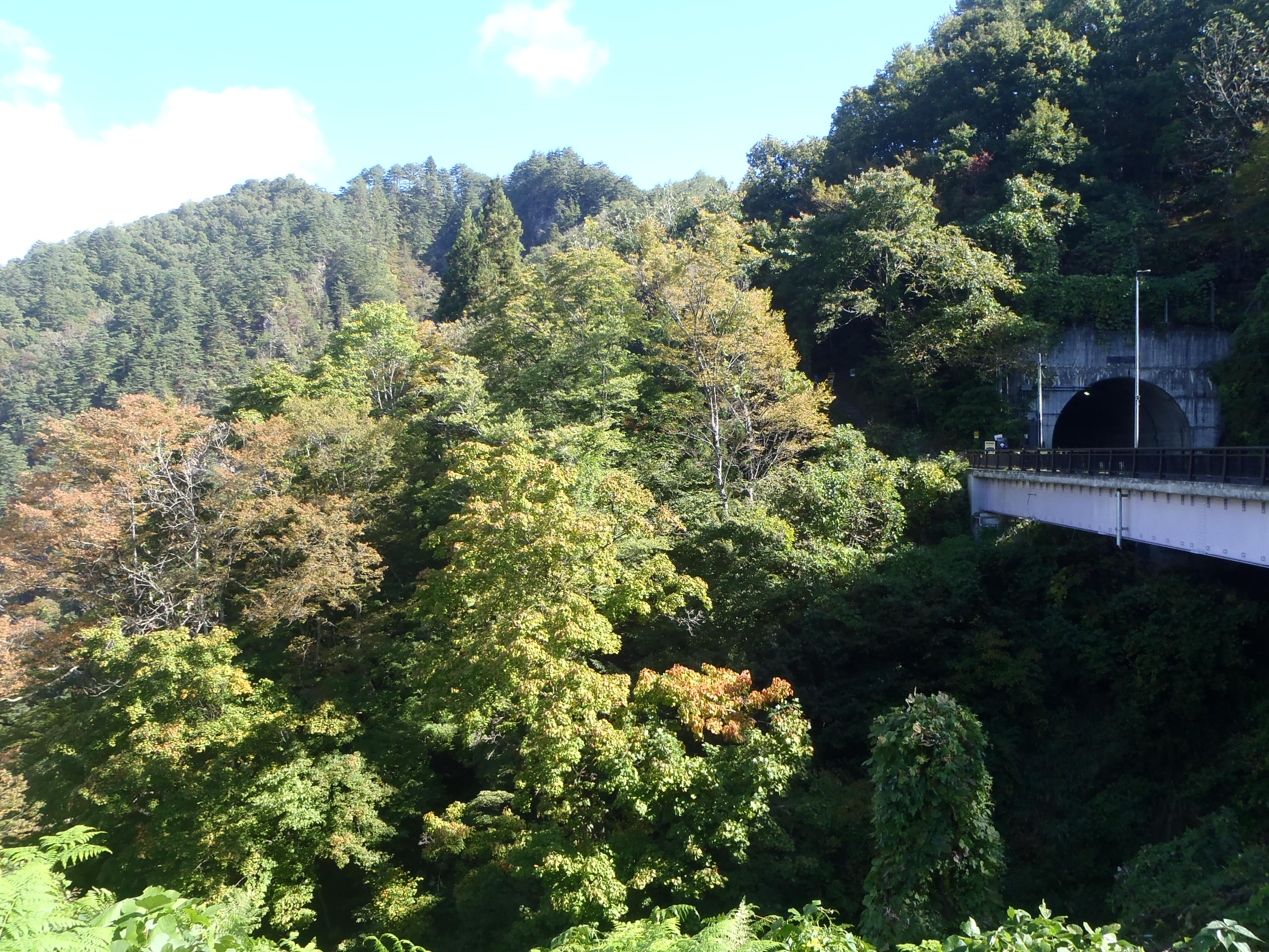 ビューポイント入口の画像