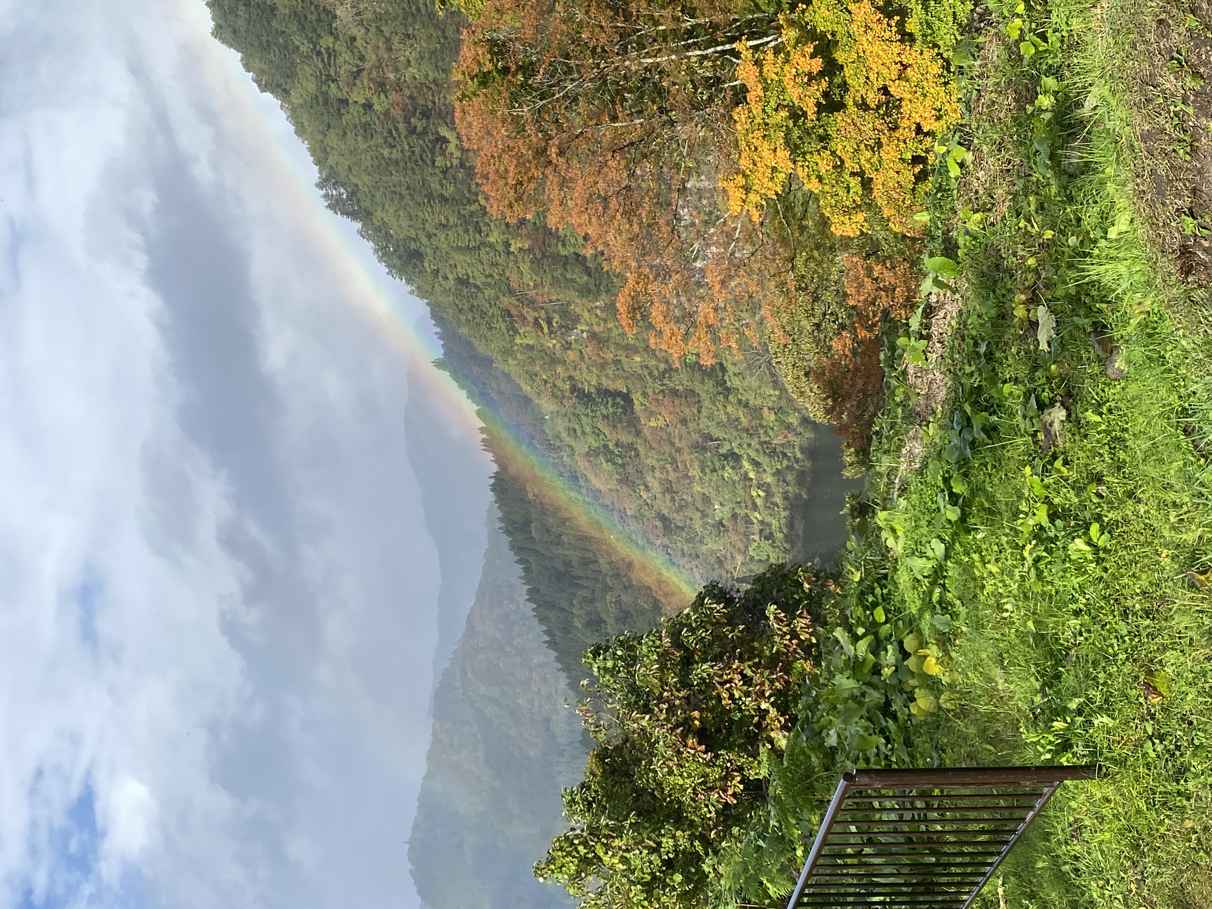 ビューポイント地点にかかる虹の画像