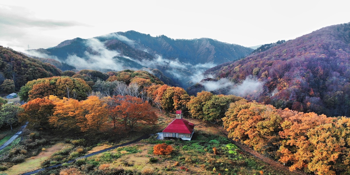 美坂高原秋の画像