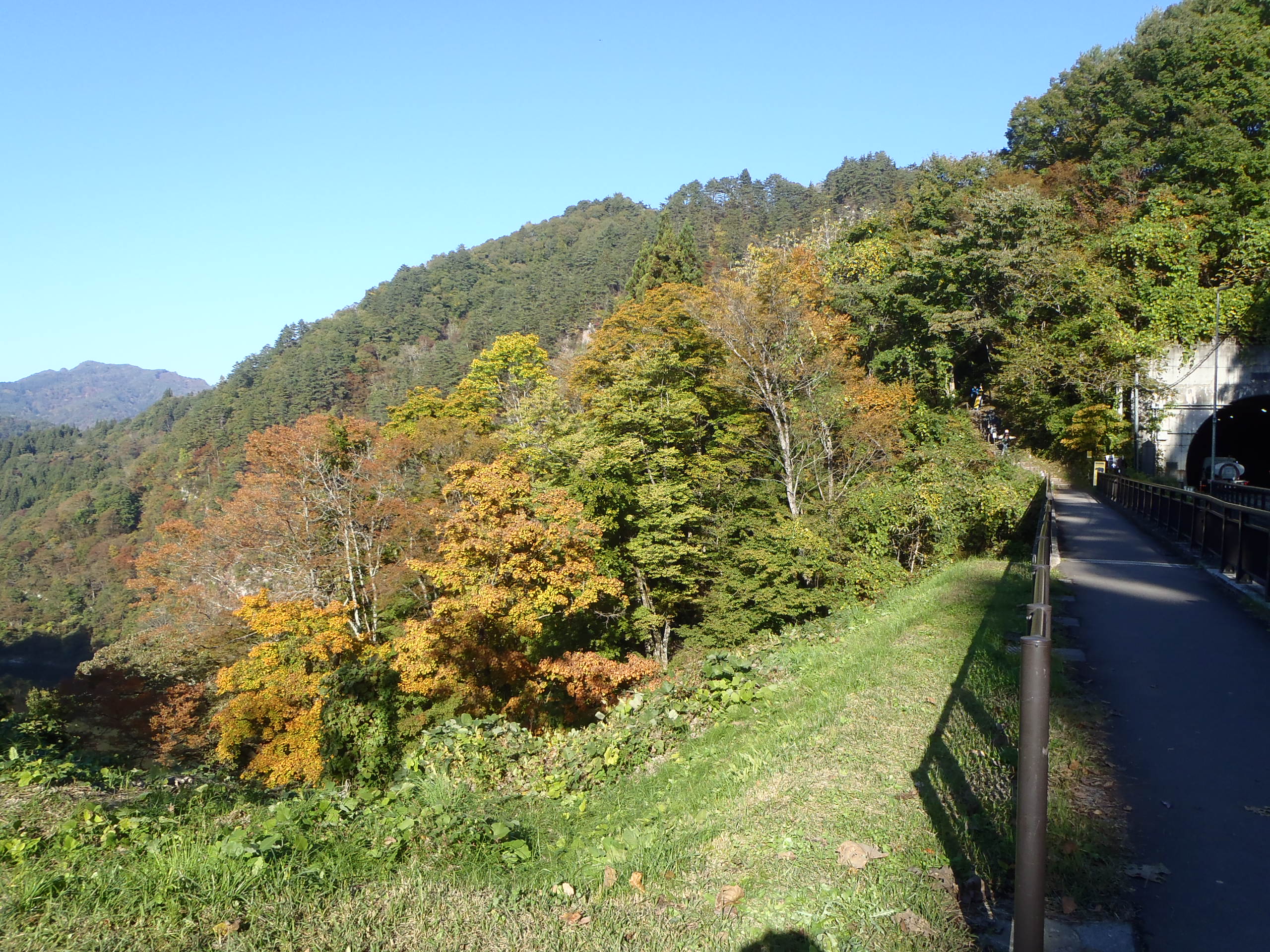 ビューポイント入口の紅葉の様子