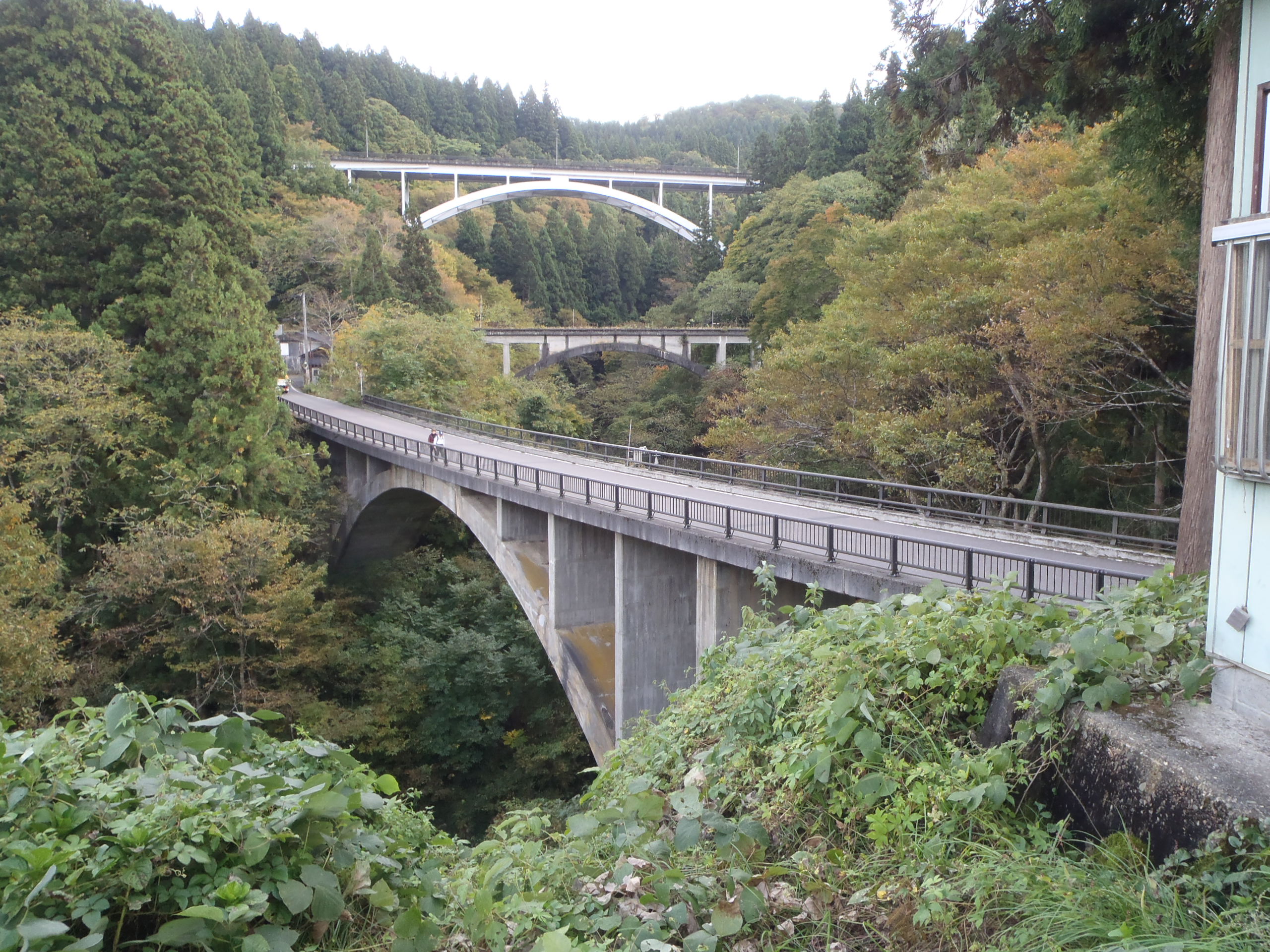 アーチ三兄弟秋の画像