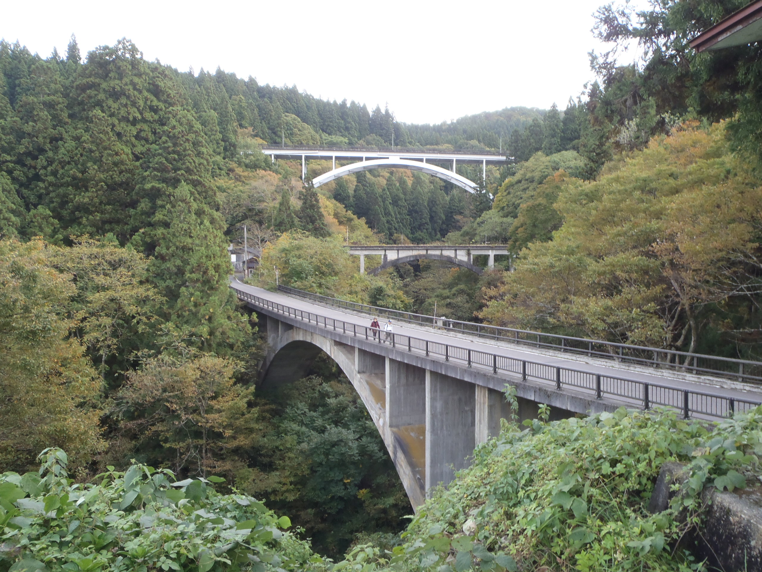 アーチ三兄弟秋の画像2