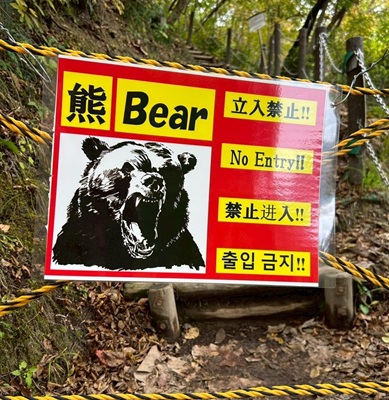 熊出没注意看板1031