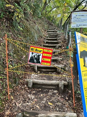 熊出没注意看板10312