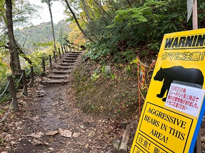 熊出没注意看板B点