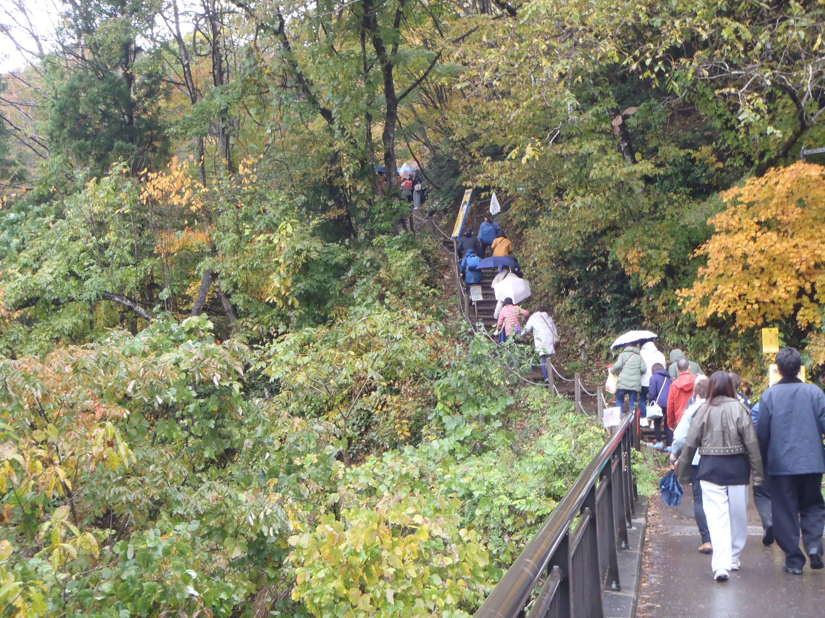 ビューポイント入口の画像