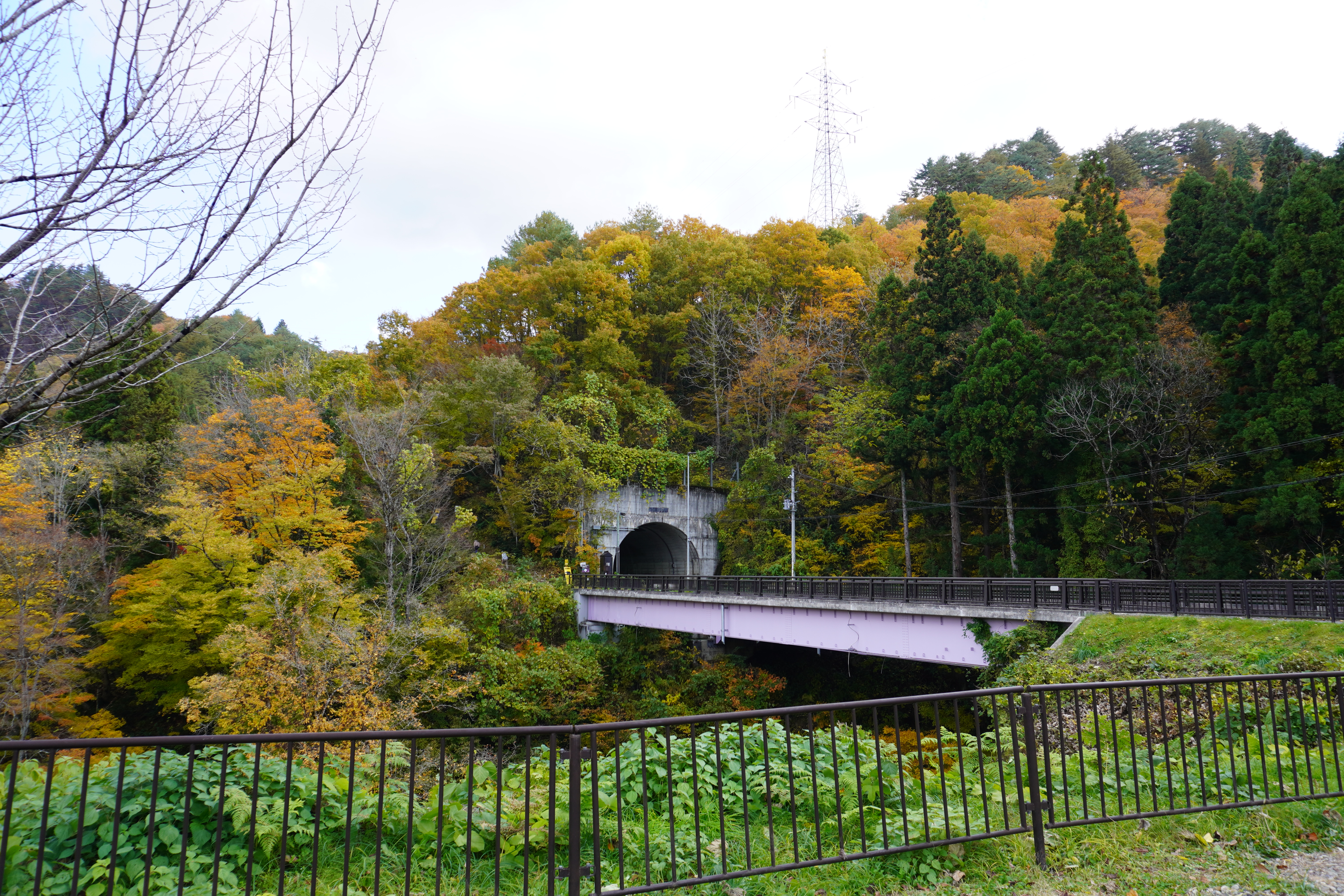 ビューポイント入口の画像