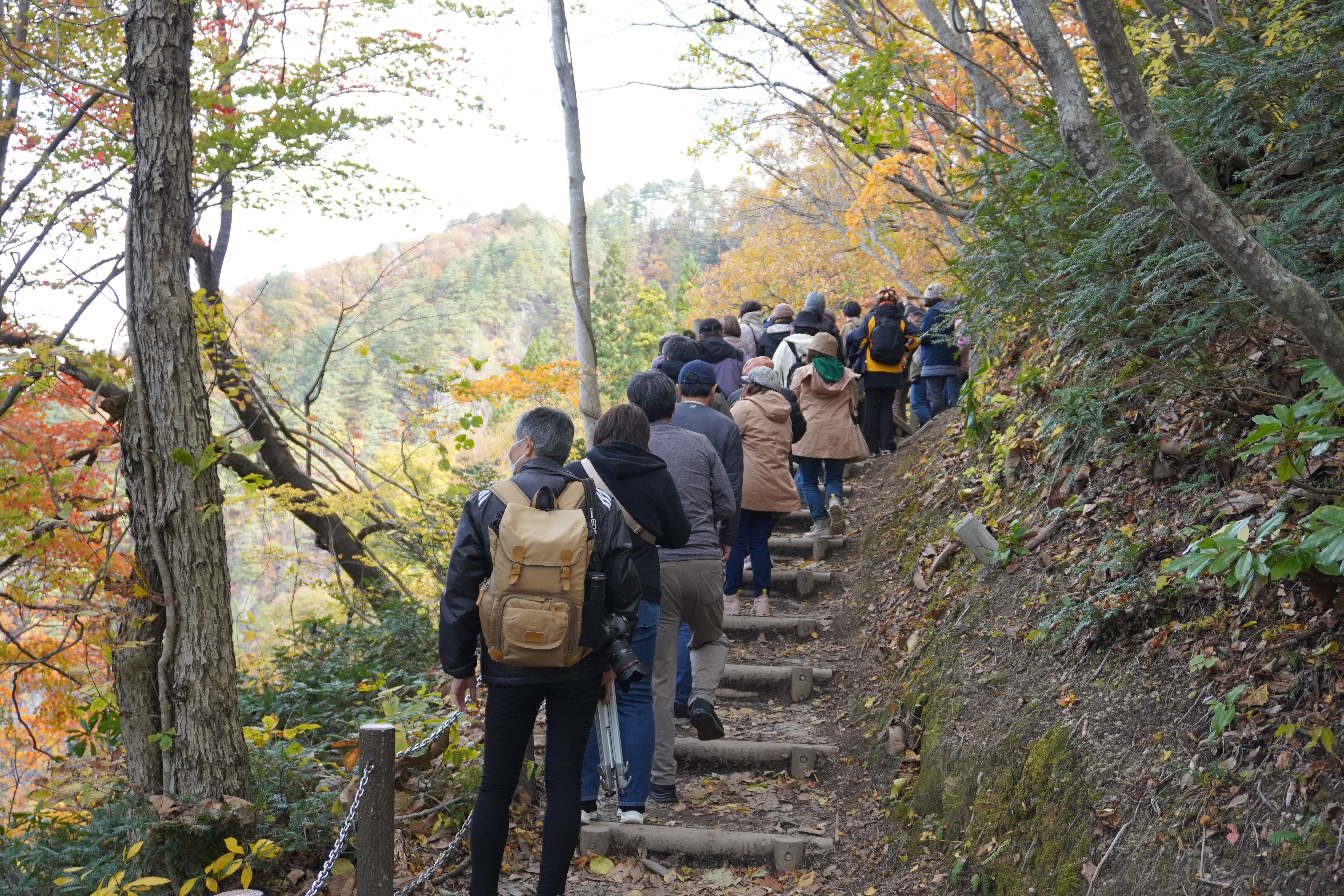 ビューポイント入口階段が混雑している様子