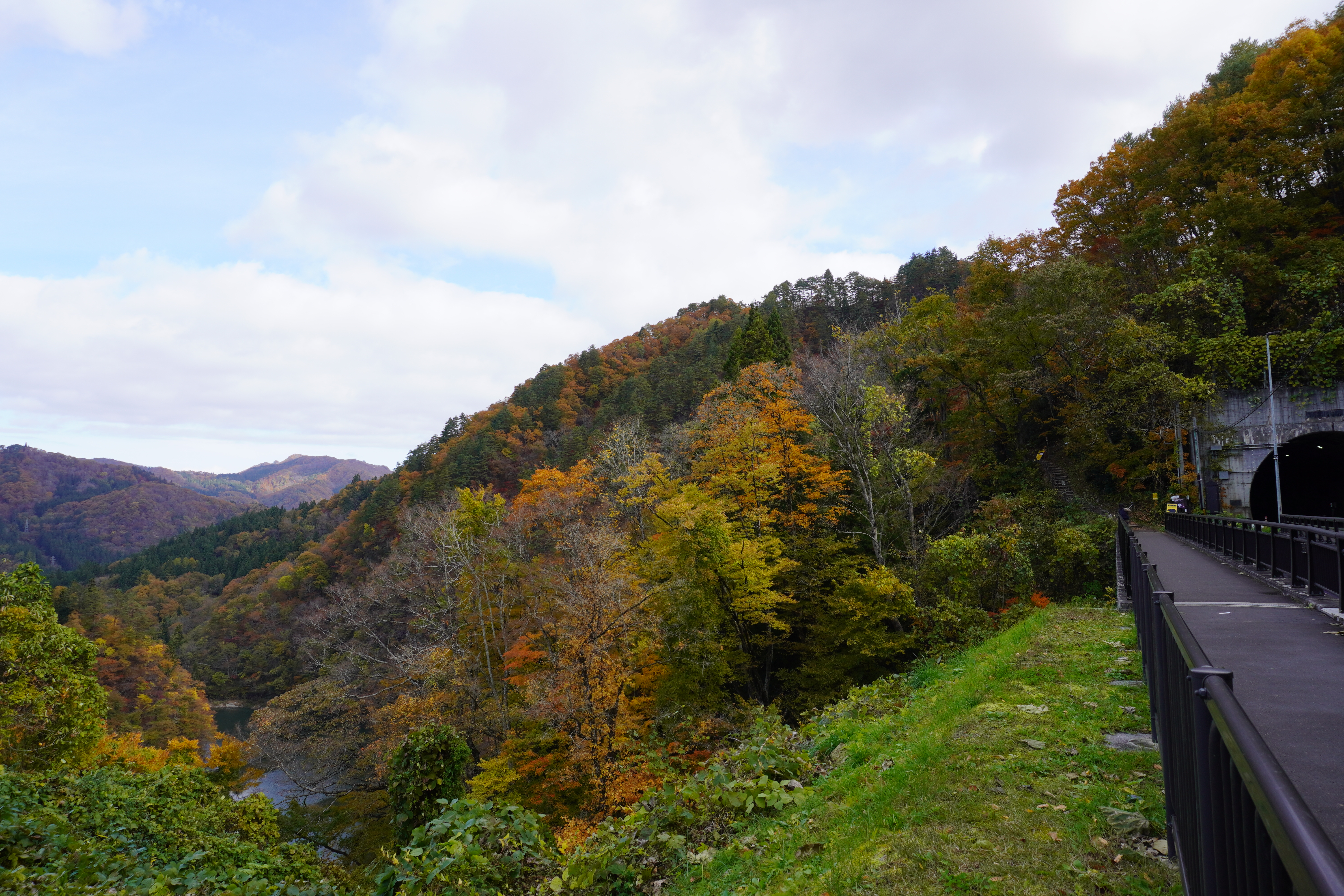 ビューポイント入口の画像