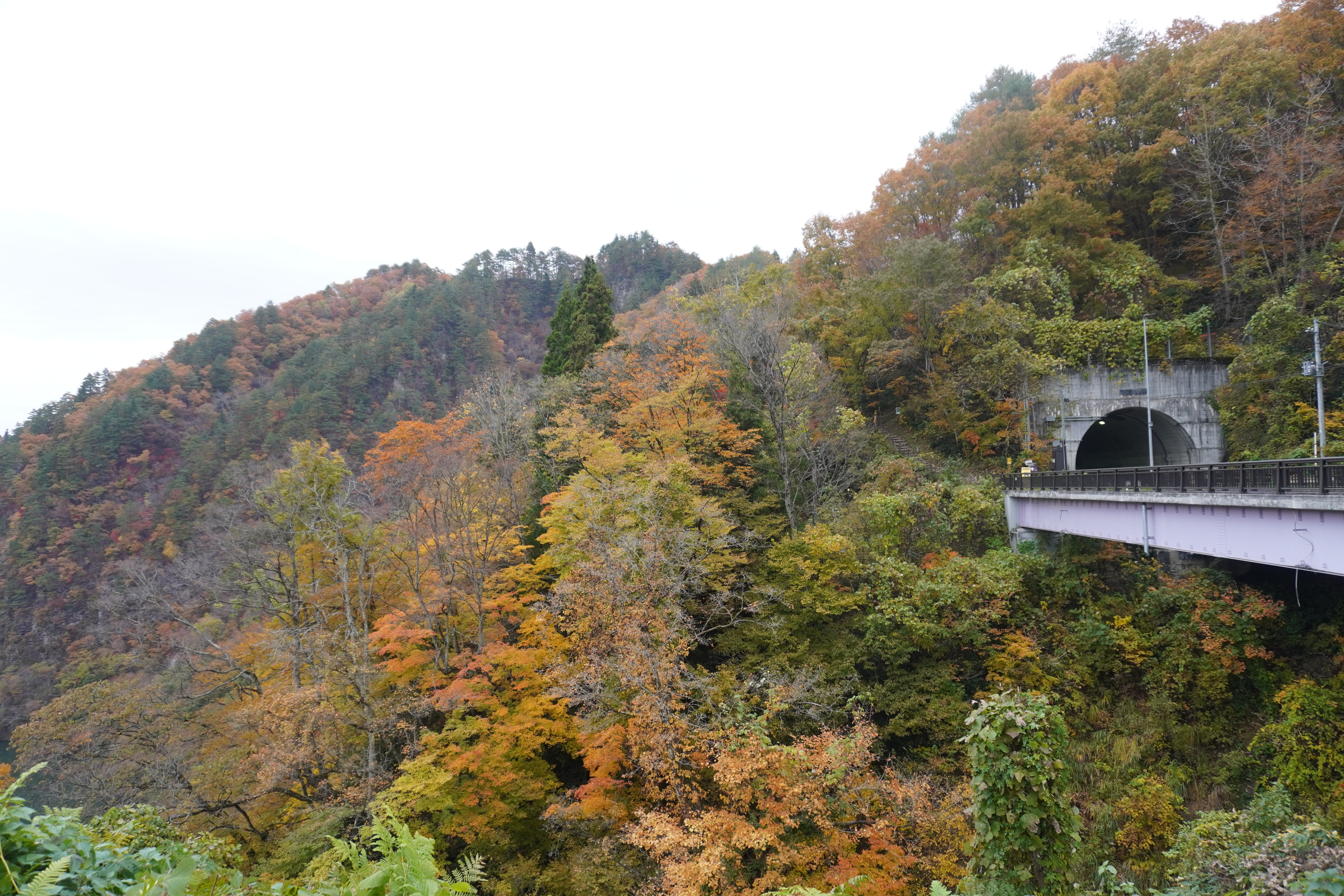 ビューポイント入口の画像