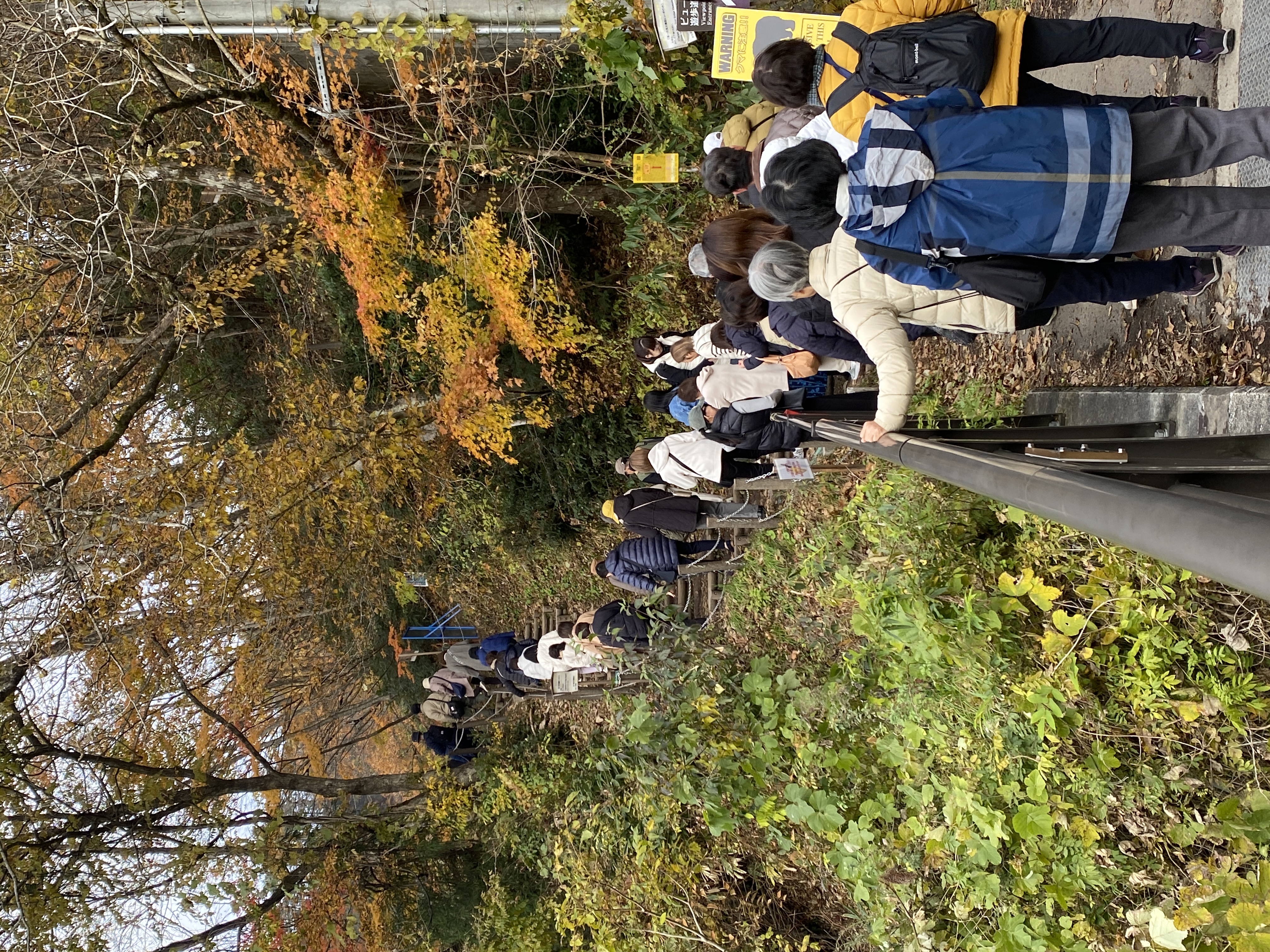 ビューポイント入口の画像