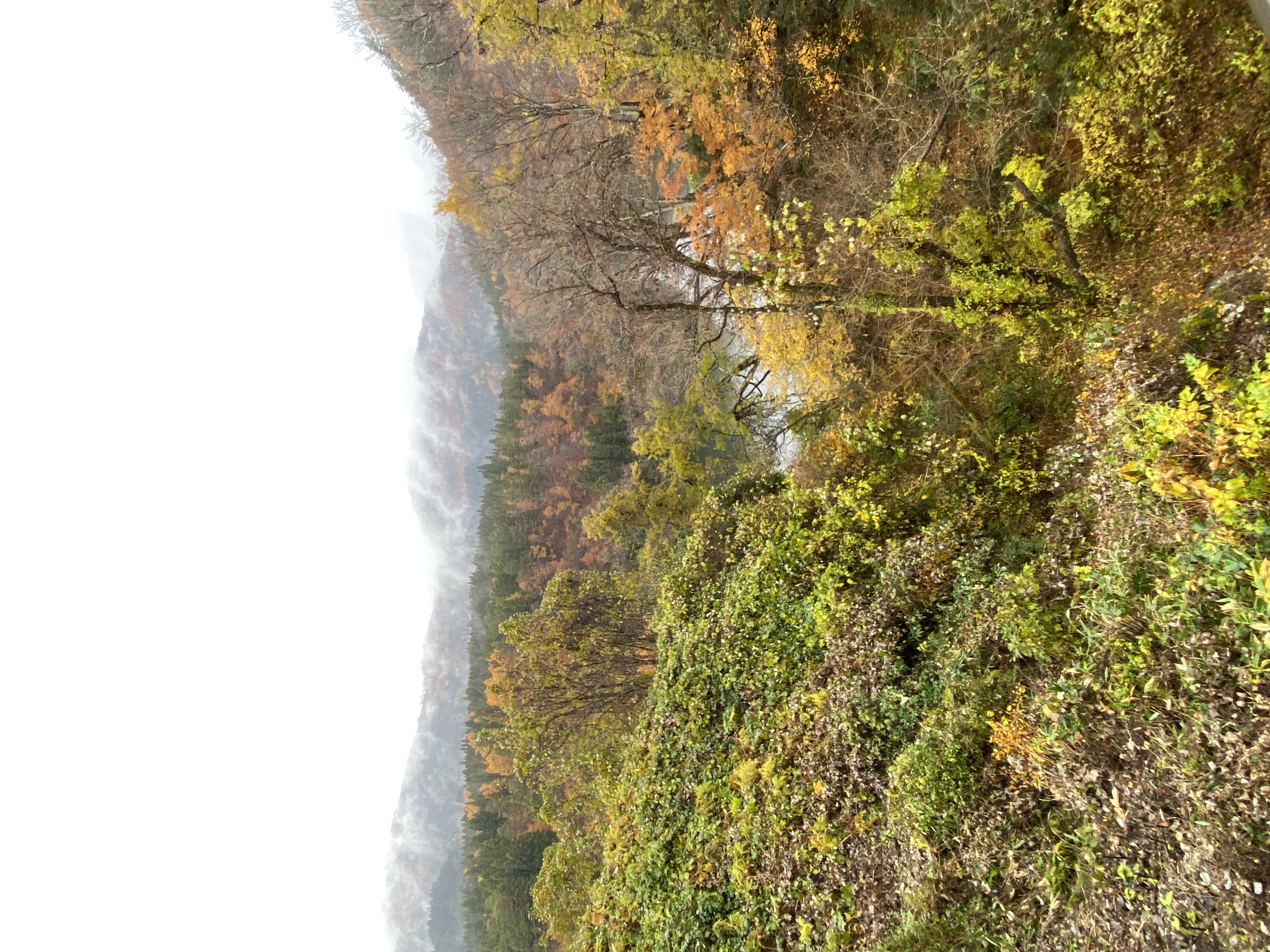 道の駅広場からの眺めの画像