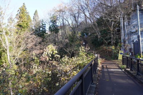 ビューポイント入口の画像