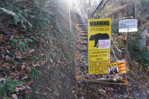 ビューポイント入口の画像2