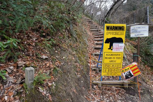 ビューポイントC地点へ続く階段の画像