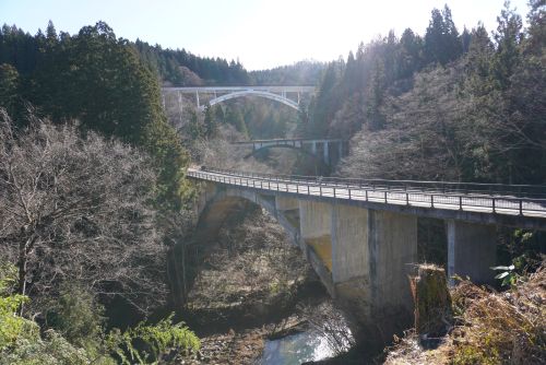 アーチ3兄弟の画像