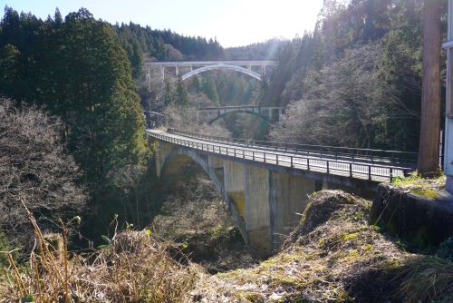 アーチ3兄弟の画像2