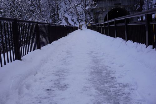ビューポイント入口へ向かう歩道の画像