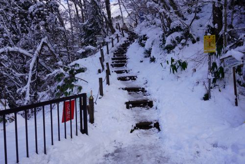 ビューポイント入口の画像