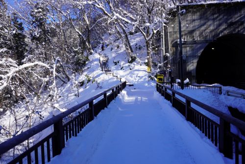 ビューポイント入口の画像