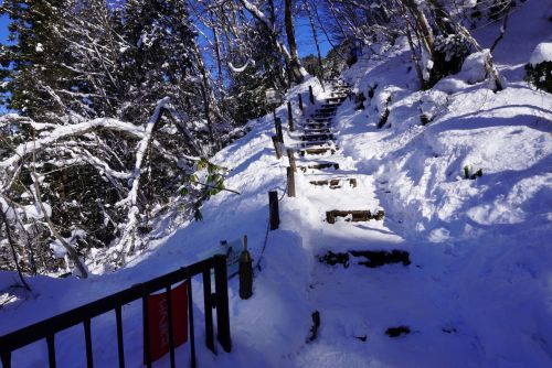 ビューポイント入口の階段の画像