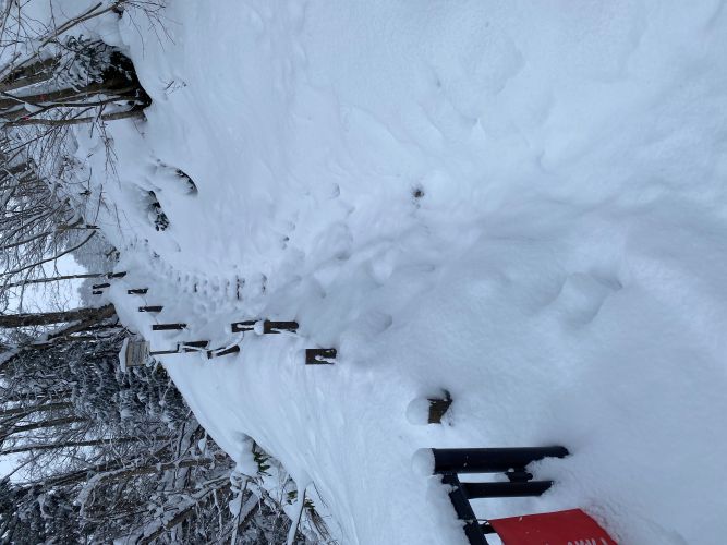 ビューポイント入口の画像