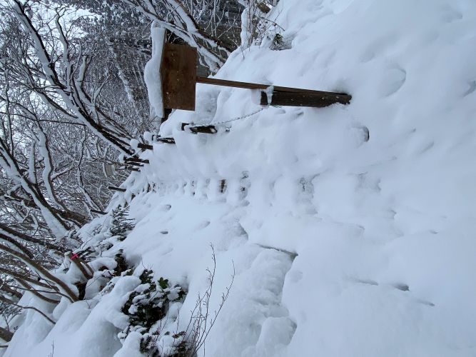 ビューポイントC地点へ向かう階段の画像