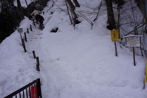 ビューポイントへ向かう階段の画像