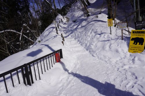 ビューポイントへ向かう階段の画像
