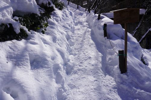 ビューポイントC地点へ向かう階段の画像