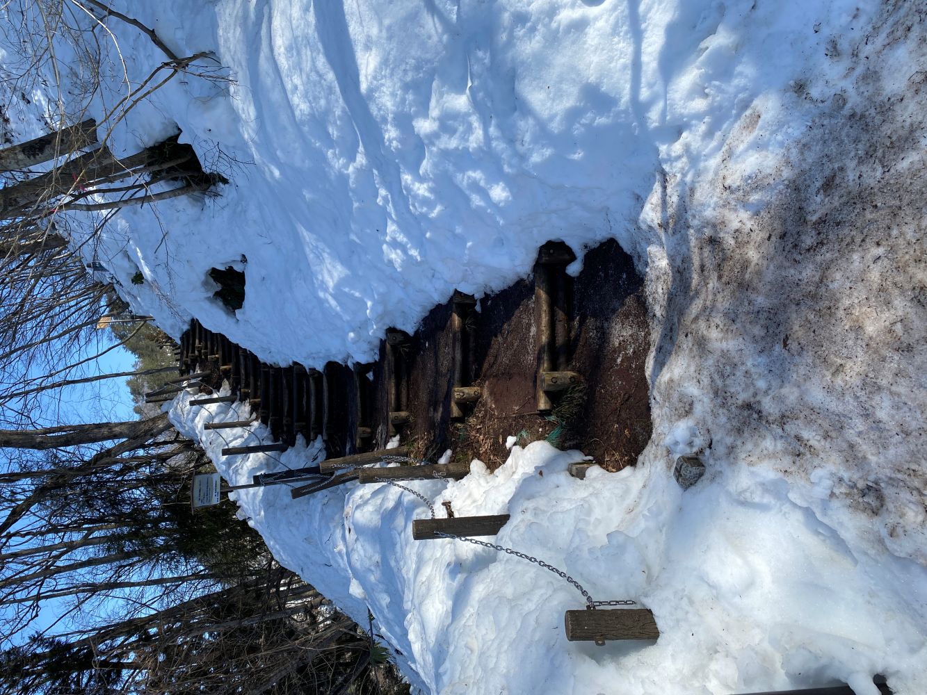 ビューポイントB地点へ向かう階段の画像