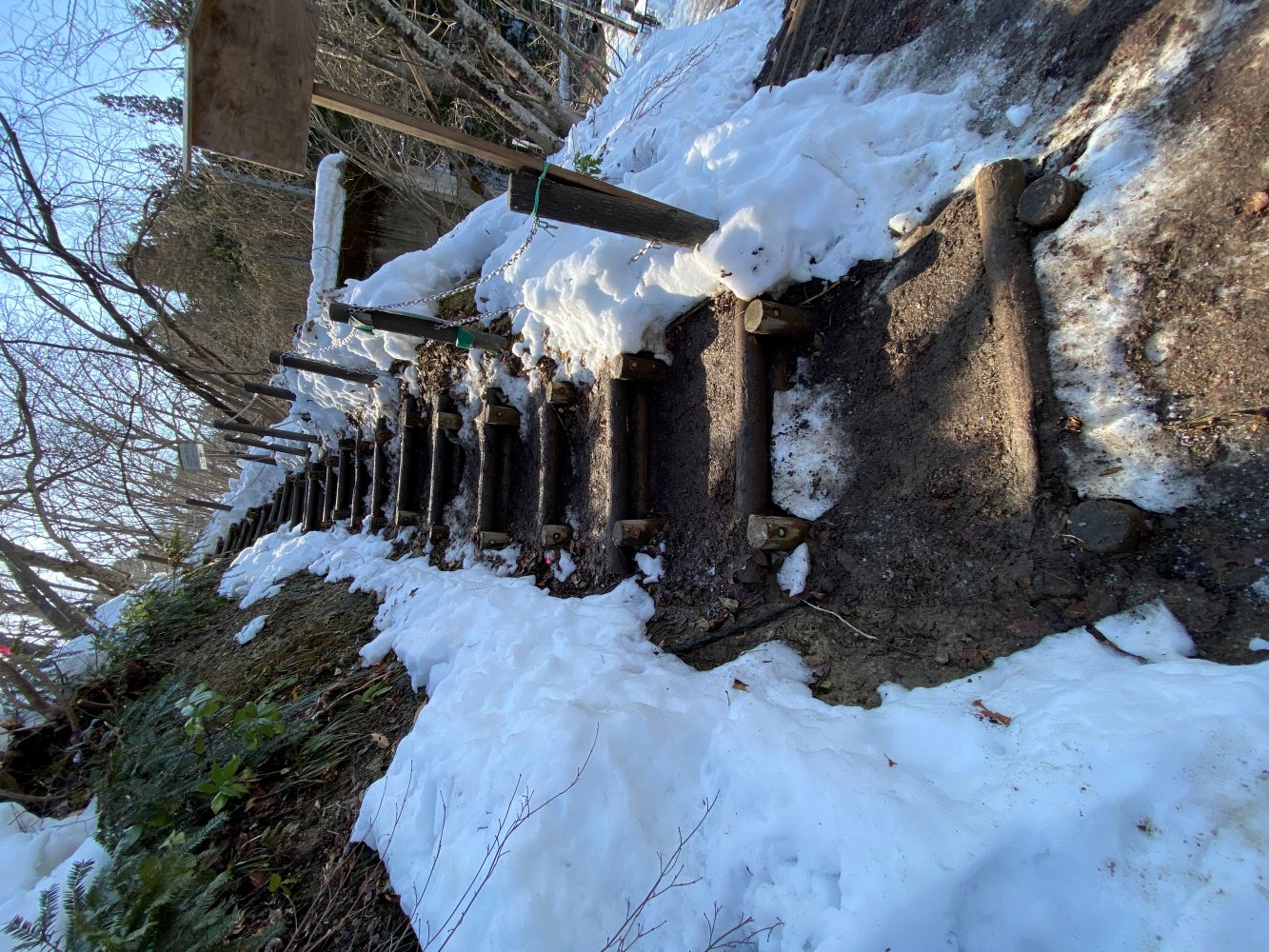 ビューポイントC地点へ向かう階段の画像