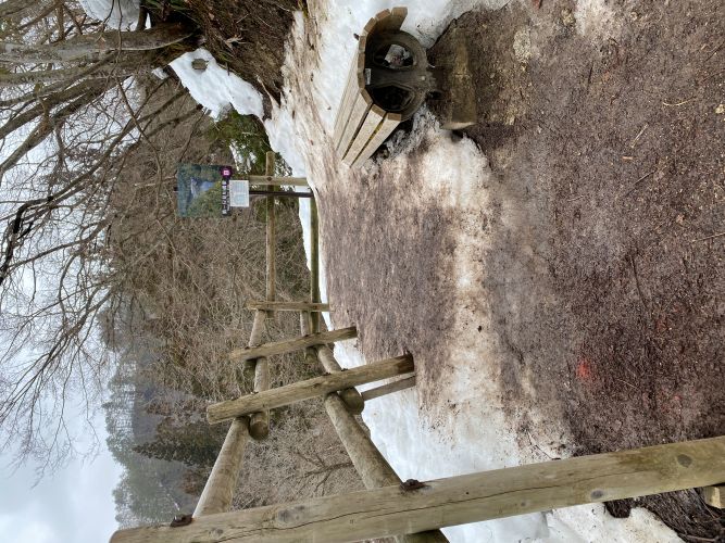 ビューポイントB地点の画像