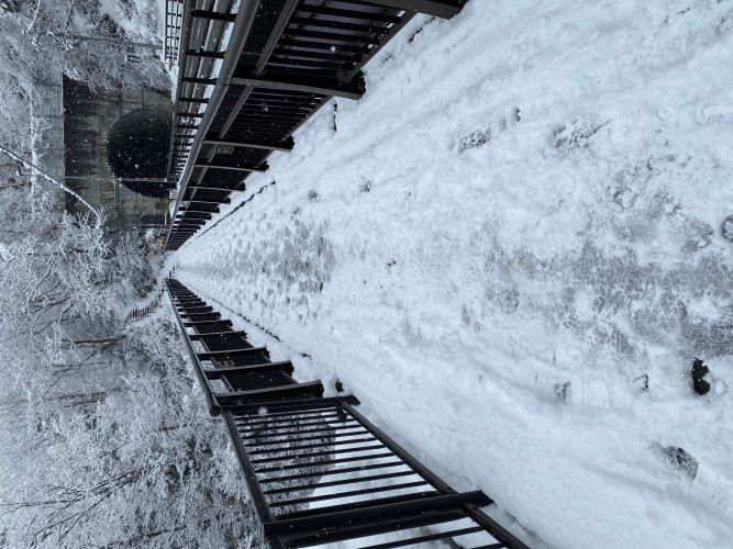 ビューポイントへ向かう歩道の画像