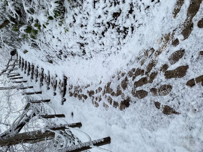 ビューポイントB地点へ向かう階段の画像