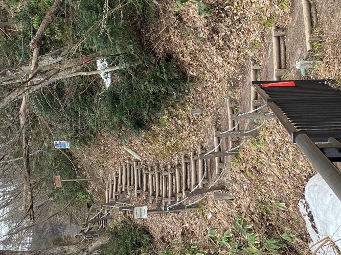 ビューポイントB地点への階段の画像