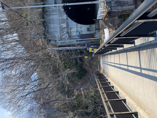 ビューポイント遊歩道の画像