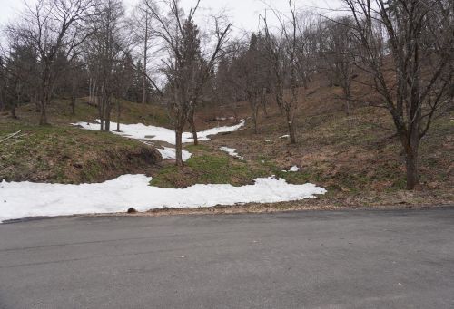 大林ふるさとの山の画像