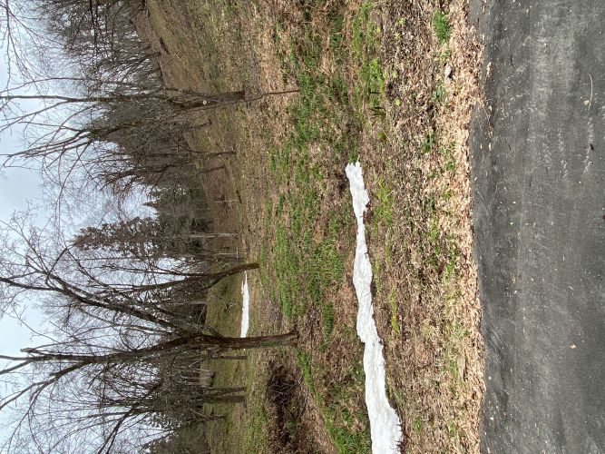大林ふるさとの山駐車場の画像