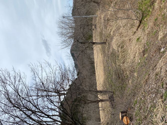 大林ふるさとの山駐車場の画像2