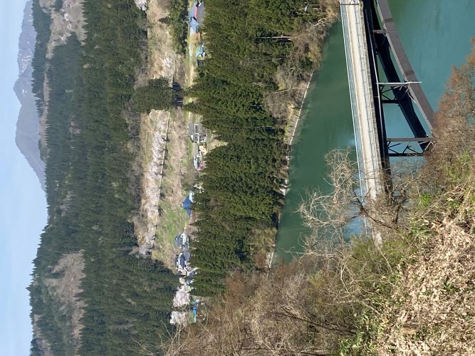 西方駅近くの桜並木の画像