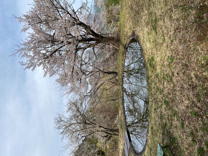 大林ふるさとの山の画像2