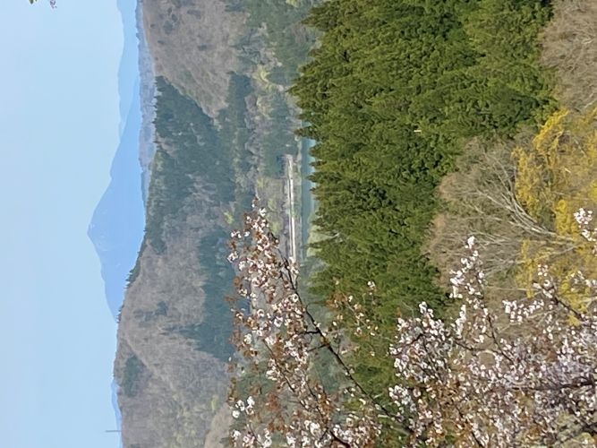 大林ふるさとの山から望む磐梯山の画像