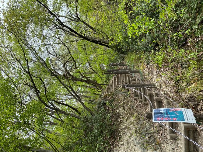 ビューポイント入口の画像