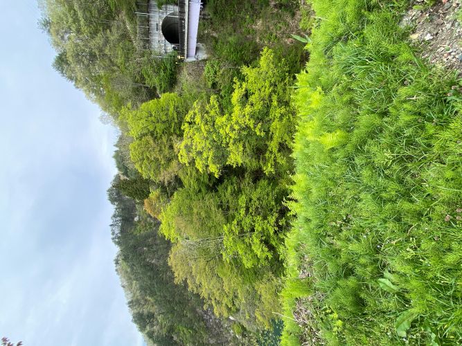 ビューポイント入口の画像2