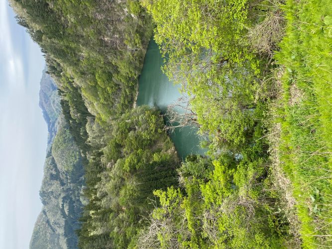 ビューポイントから望む只見川の画像