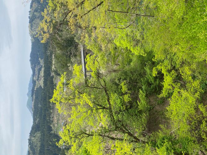 歳時記橋の画像