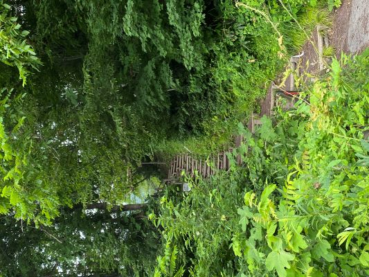 ビューポイント入口の階段の画像