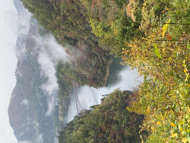 ビューポイントC地点からの眺めの画像